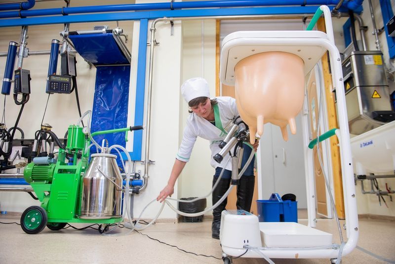 лаборатория животноводства